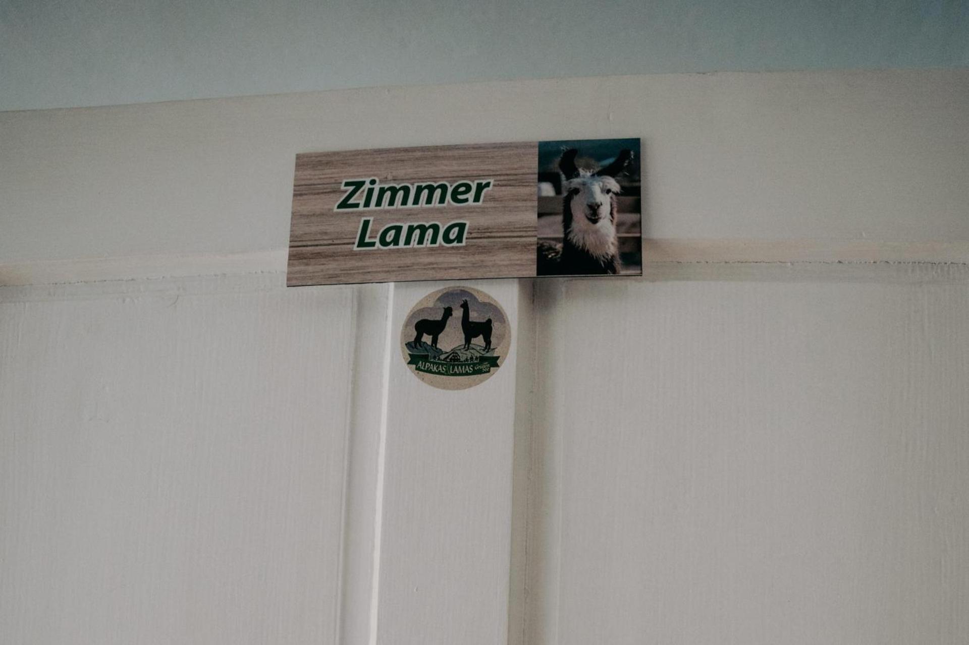 Alpakas, Lamas Und Rentiere Zum Gruenen See Grossdorf  エクステリア 写真