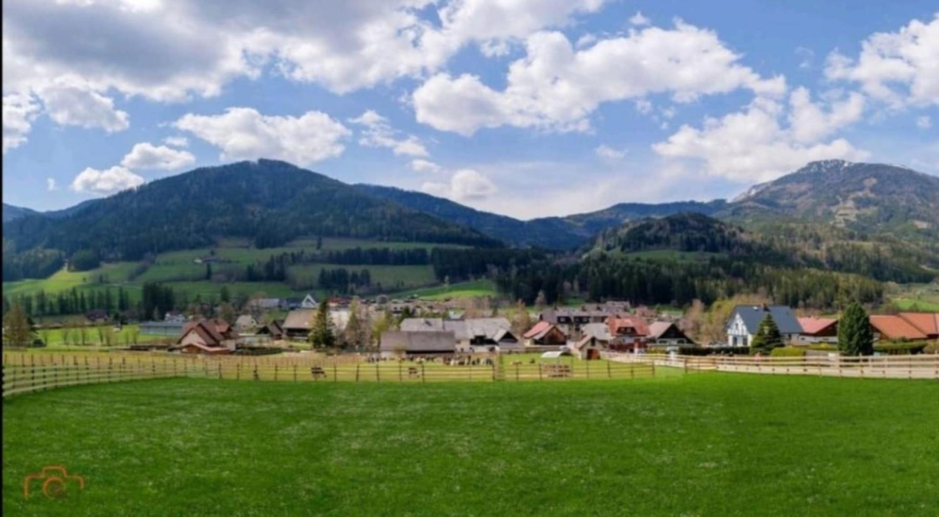 Alpakas, Lamas Und Rentiere Zum Gruenen See Grossdorf  エクステリア 写真