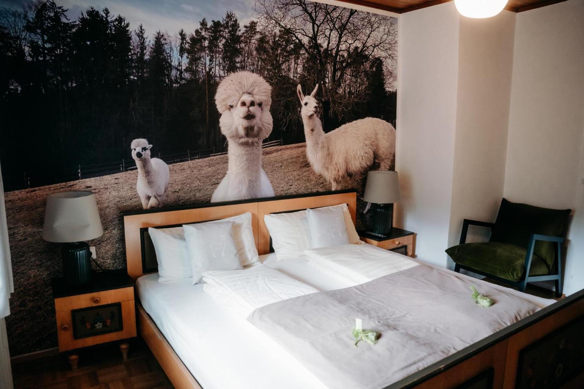 Alpakas, Lamas Und Rentiere Zum Gruenen See Grossdorf  エクステリア 写真