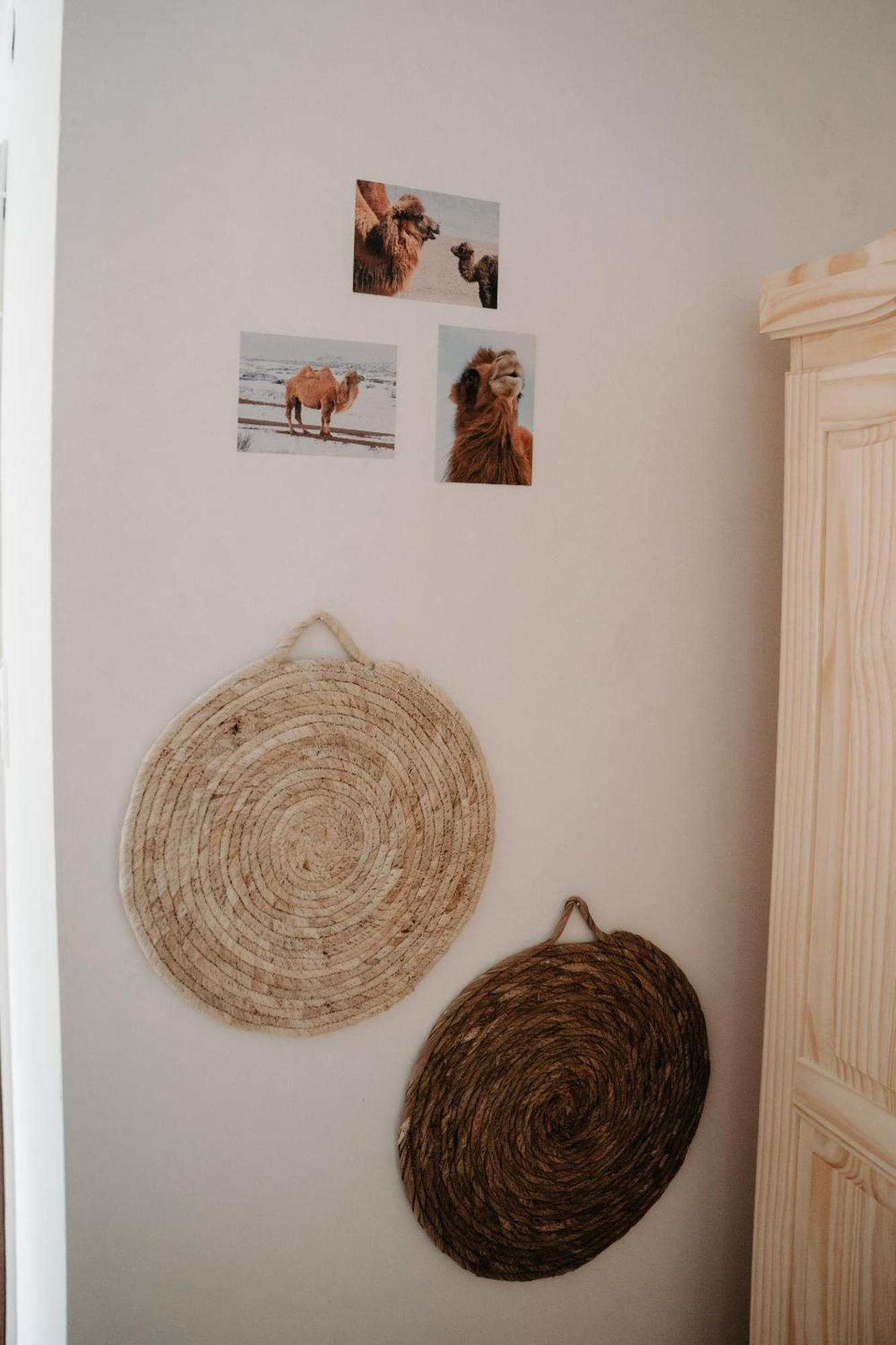 Alpakas, Lamas Und Rentiere Zum Gruenen See Grossdorf  エクステリア 写真