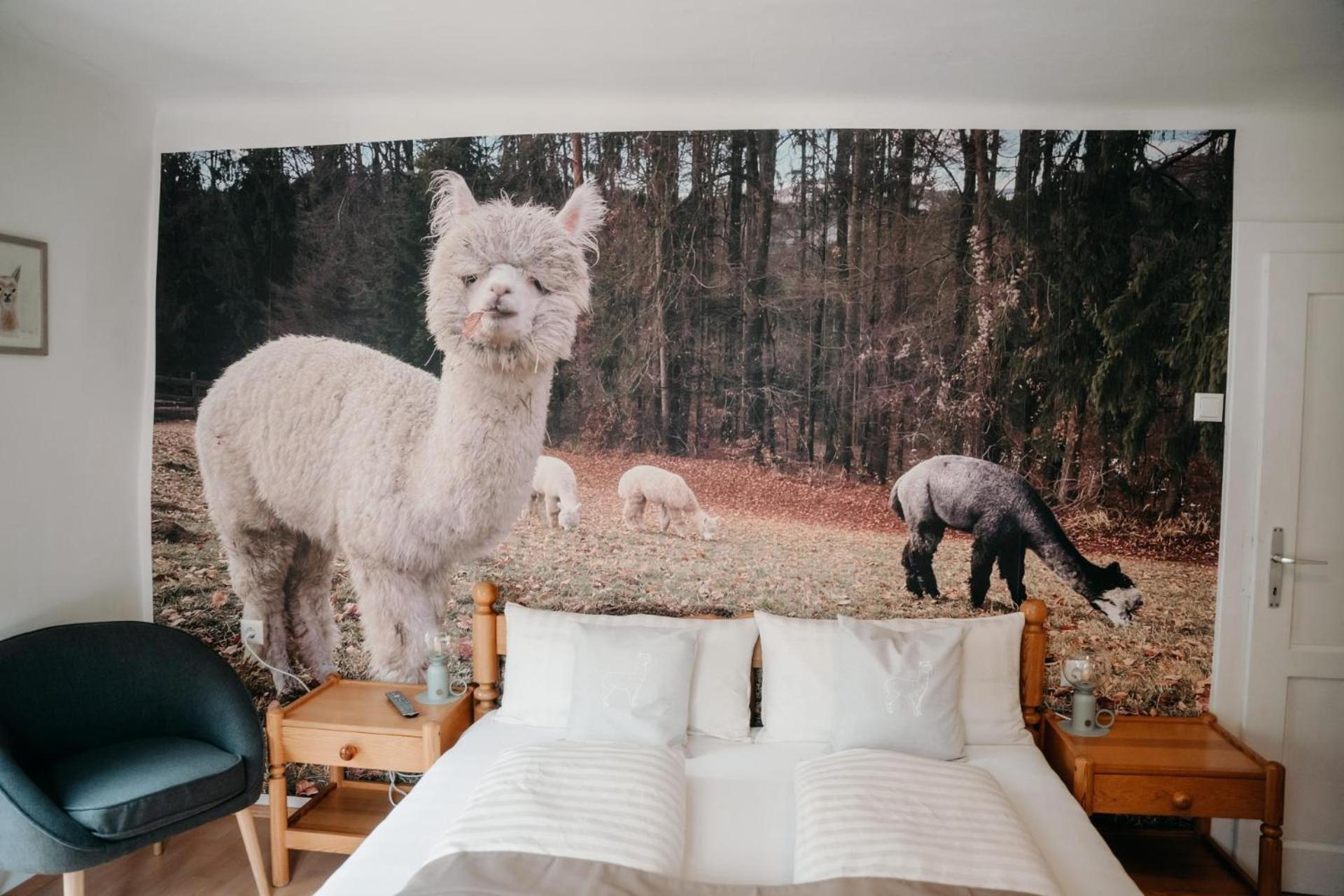 Alpakas, Lamas Und Rentiere Zum Gruenen See Grossdorf  エクステリア 写真