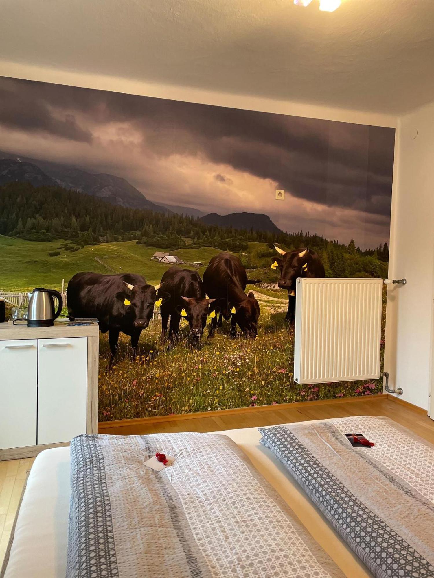 Alpakas, Lamas Und Rentiere Zum Gruenen See Grossdorf  エクステリア 写真